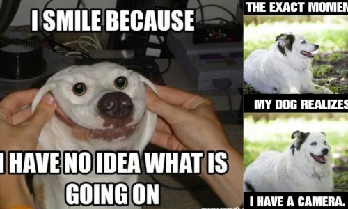 婴儿游泳桶最建议买三个品牌-婴儿游泳桶品牌网 - 婴儿游泳桶品牌推荐,婴儿游泳桶品牌排行