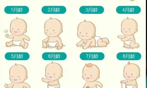 婴儿游泳桶家用推荐-婴儿游泳桶品牌网 - 婴儿游泳桶品牌推荐,婴儿游泳桶品牌排行